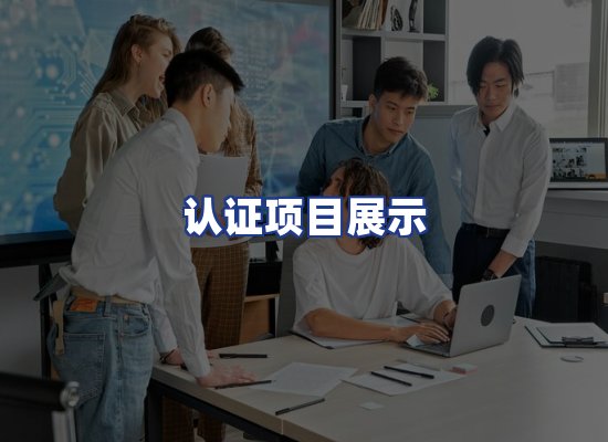 认证项目展示