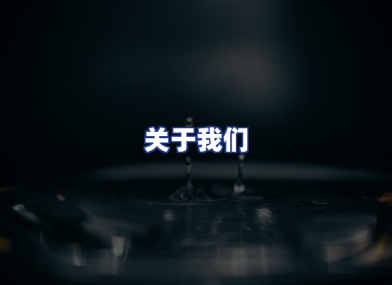 专业团队